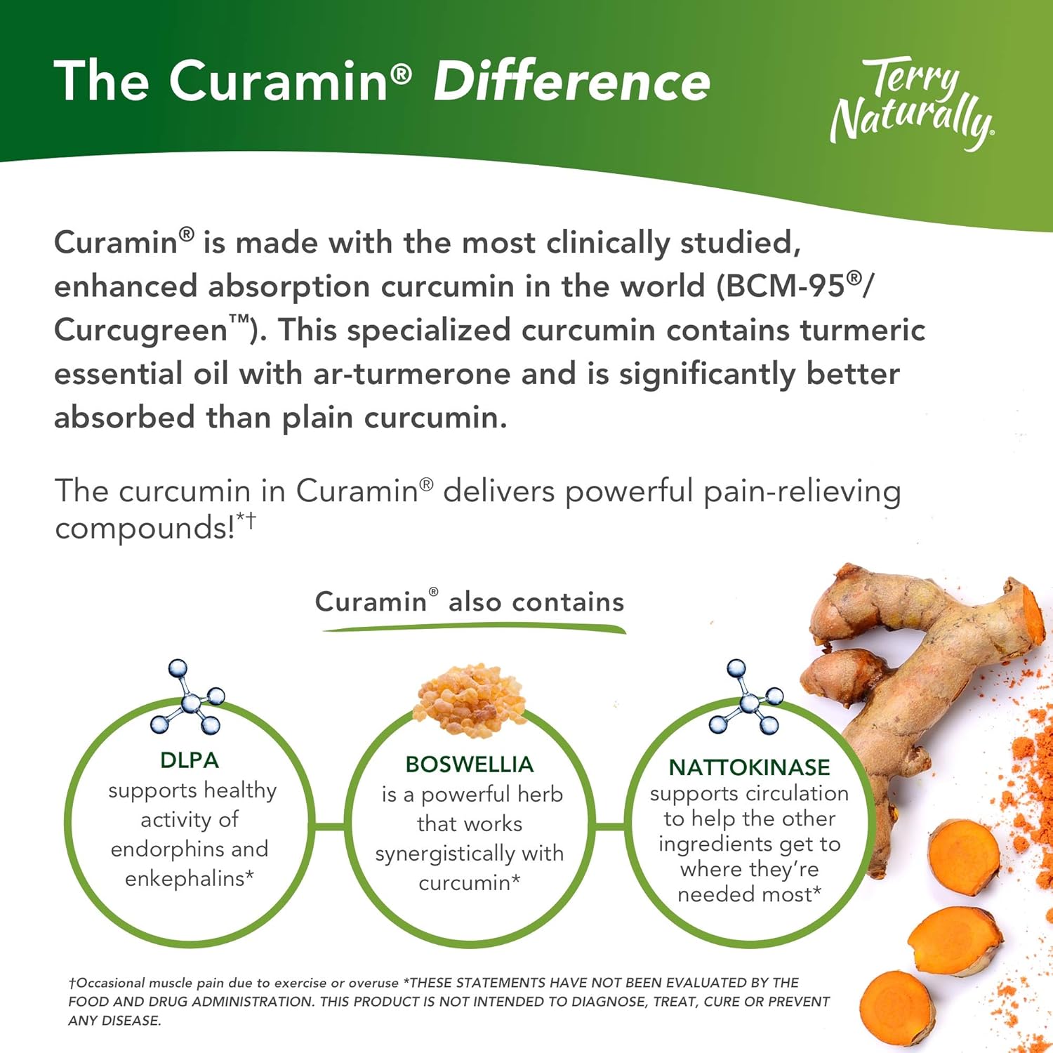 Terry Naturally Curamin - 120 Vegan Capsules - Non-Addictive Pain Relief Supplement with Curcumin from Turmeric, Boswellia & DLPA - Non-GMO, Gluten-Free - 40 Servings: Health & Personal Care