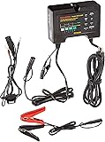 BatteryMINDer Charger-Desulfator - 12 Volt, AGM Batteries, Model# 2012-AGM