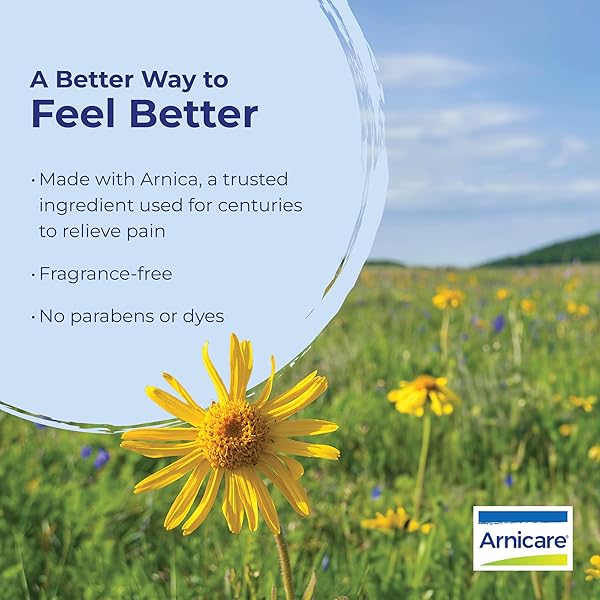 BOIRON ARNICARE GEL, HOMEOPATHIC MEDICINE FOR PAIN RELIEF, 2.6 OUNCE