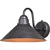 VAXCEL Outland 9 in. H 1-Light Aged Iron and Light Gold Dusk to Dawn Sensor Farmhouse Outdoor Wall Sconce, Gooseneck Metal Sh