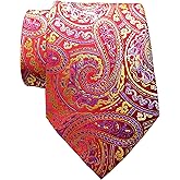 TANGQING New Classic Paisley JACQUARD WOVEN Silk Men's Tie Necktie