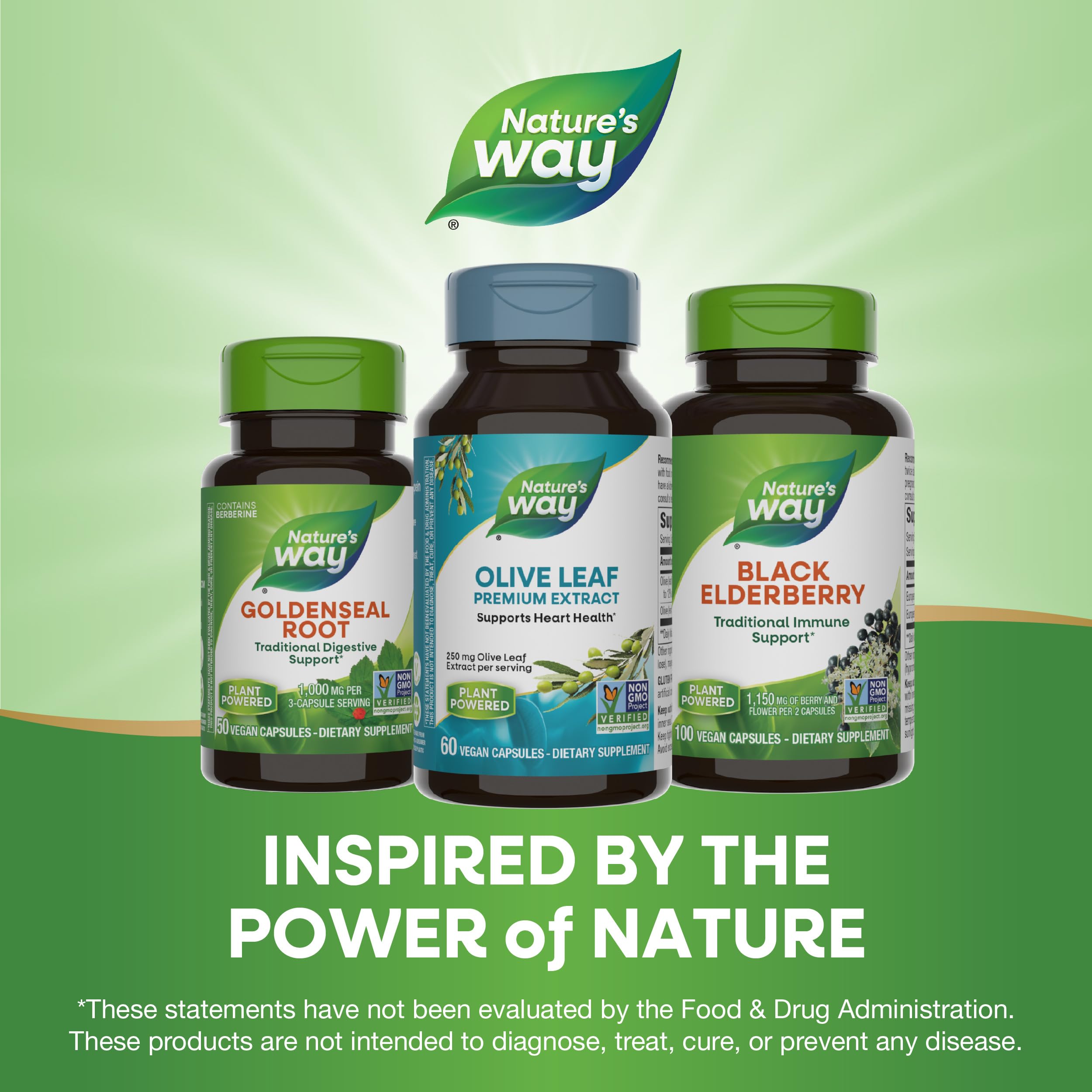 Nature's Way Olive Leaf Premium Extract Supplement, Supports Heart Health*, 250 mg Per Serving, Gluten Free, Vegan, 60 Capsules (Packaging May Vary)