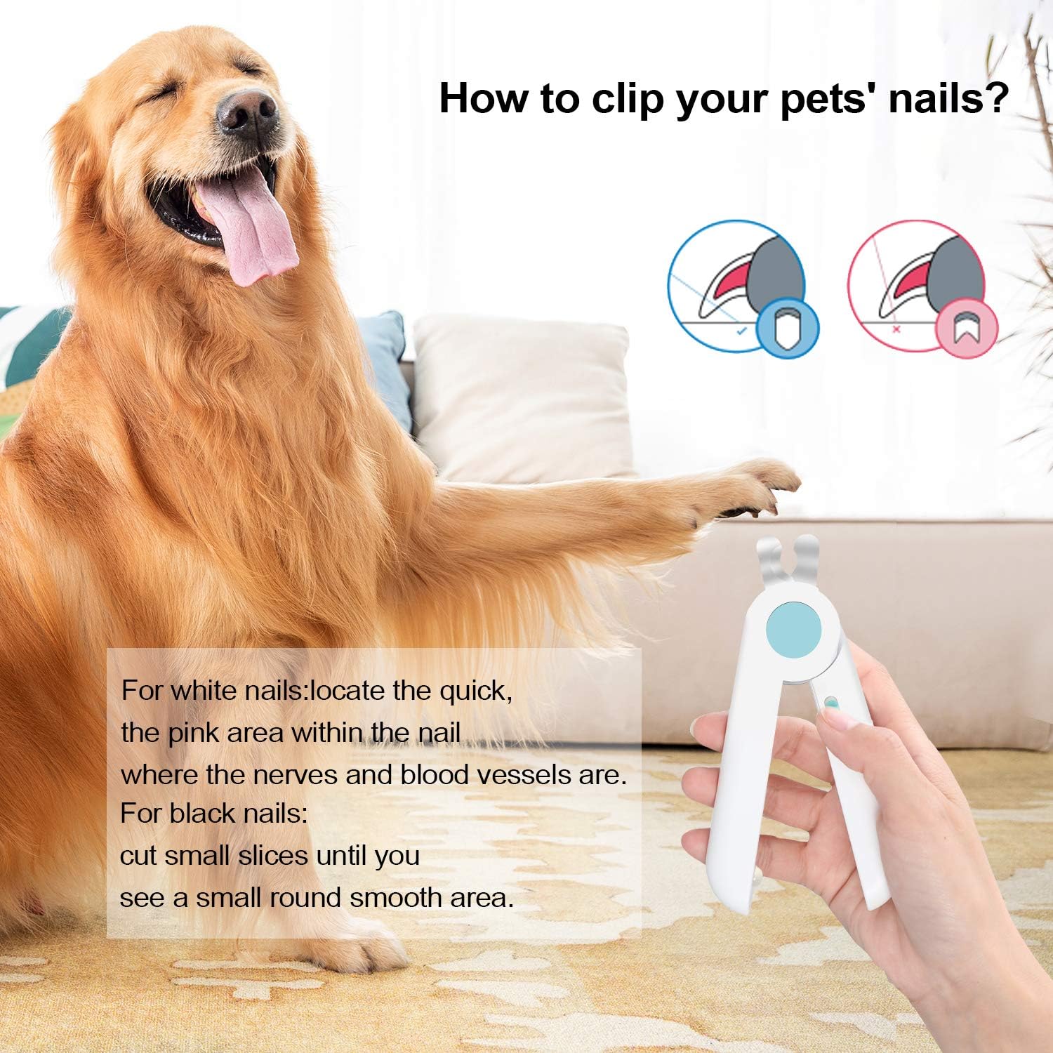 HABOM Dog & Cat Pets Nail Clippers and Trimmers - with Transparent Cover to Avoid Nail Flying, Free Nail File, Razor Sharp Blade - Professional Grooming Tool for Large and Small Animals