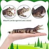 toymany 12PC Reptile Animal Figurines Set Cold Blooded Amphibians Jungle Lizard view 3