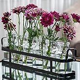 6pc Glass Flower Vase with Metal Holder, Best Vases Set for Home & Table Decor Flowers, Wedding Decorations, Kitchen, Bathroom, Bedroom, Modern Shelf Decor, Terrarium Arrangement