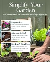 Pelle & Sol 60L Multi Purpose Compost - Nutrient Rich Potting Soil view 6