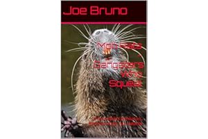 Mob Rats - Gangsters Who Squeal : Arlene Weiss Brinkman, Bald Jack Rose (Rosenzweig), Joe "Joe Cago" Valachi