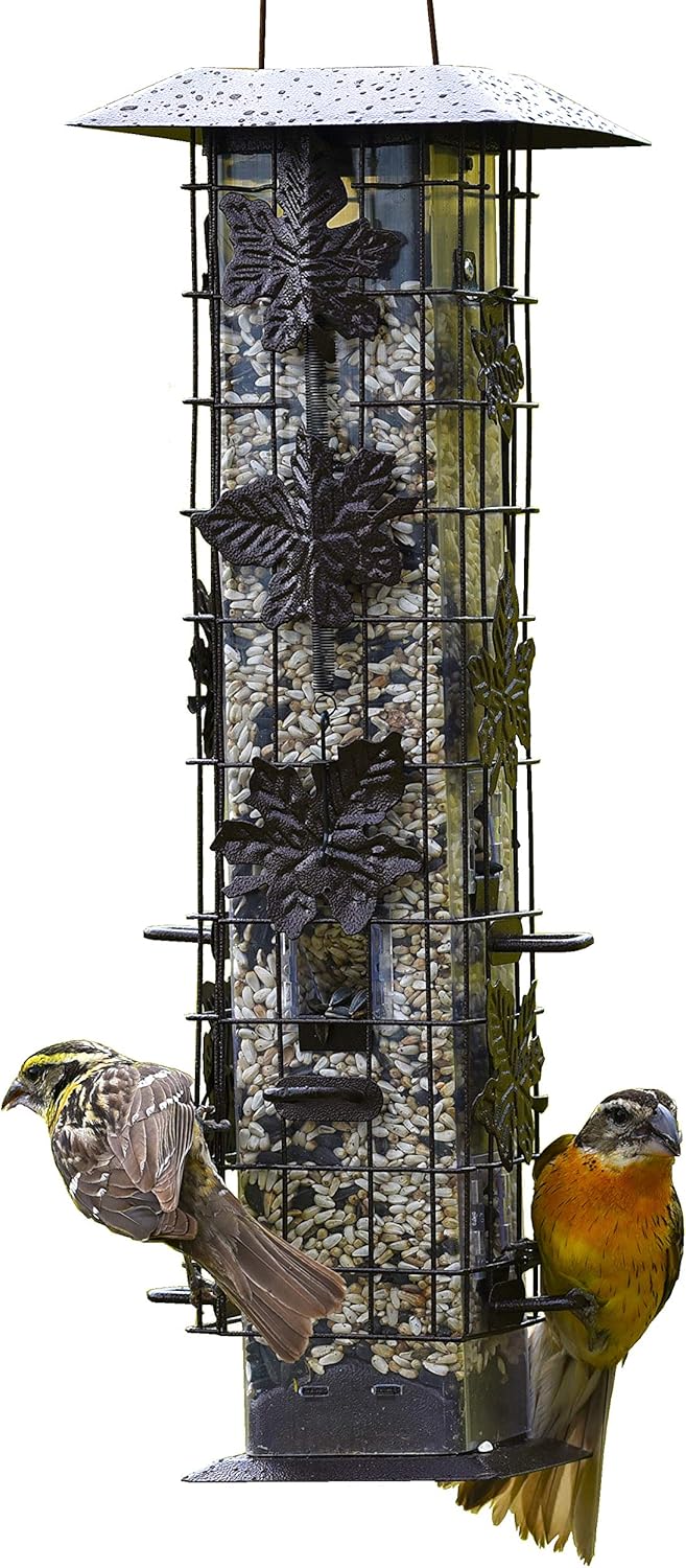 Backyard Birding & Wildlife - Perky-Pet 336-1SR Squirrel-Be-Gone Bird Feeder, 2LB Squirrel Proof Outdoor Wild Bird Feeder with Weight-Activated Perches