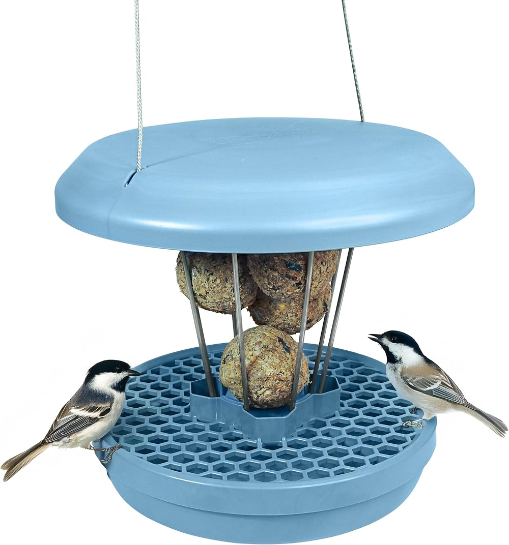SWISSINNO Bird Feeders Hanging Station Lucerne No Mess Seed Tray 7 Fat Balls