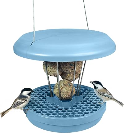 SWISSINNO Bird Feeders Hanging Station Lucerne No Mess Seed Tray 7 Fat Balls