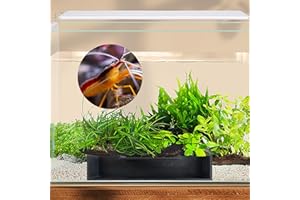 spansee Aquarium Shrimp Tunnel Cave, Fish Tank Decorations, Betta Fish Tank Accessories, Set of 2 Aquarium Decorations (PETG-Black)