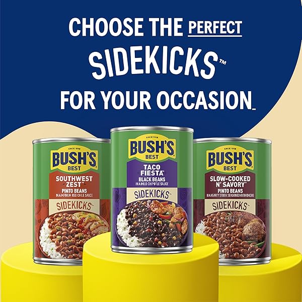 BUSH’S BEST 15OZ CANNED SLOW-COOKED N’ SAVORY PINTO BEANS, SOURCE OF PLANT BASED PROTEIN AND FIBER, LOW FAT, GLUTEN FREE