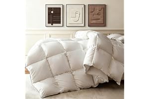 DOWNFORT Goose Down Comforter Queen Size,Premium 100% Natural White Goose Down Duvet Insert - 800 Fill Power,100% Cotton Shell,Baffle Box Construction,All Season Hotel Luxury Bedding Comforters, 90"x90"