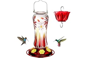 Kingsyard Hummingbird Feeder for Outdoors Hanging, 25 Ounces, Glass Humming Bird Nectar Feeder with Ant Moat & 6 Feeding Ports, Leak Proof, Red