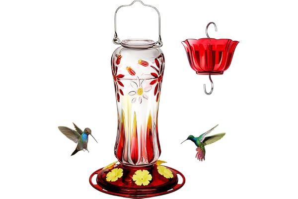 Kingsyard Hummingbird Feeder for Outdoors Hanging, 25 Ounces, Glass Humming Bird Nectar Feeder with Ant Moat & 6 Feeding Port