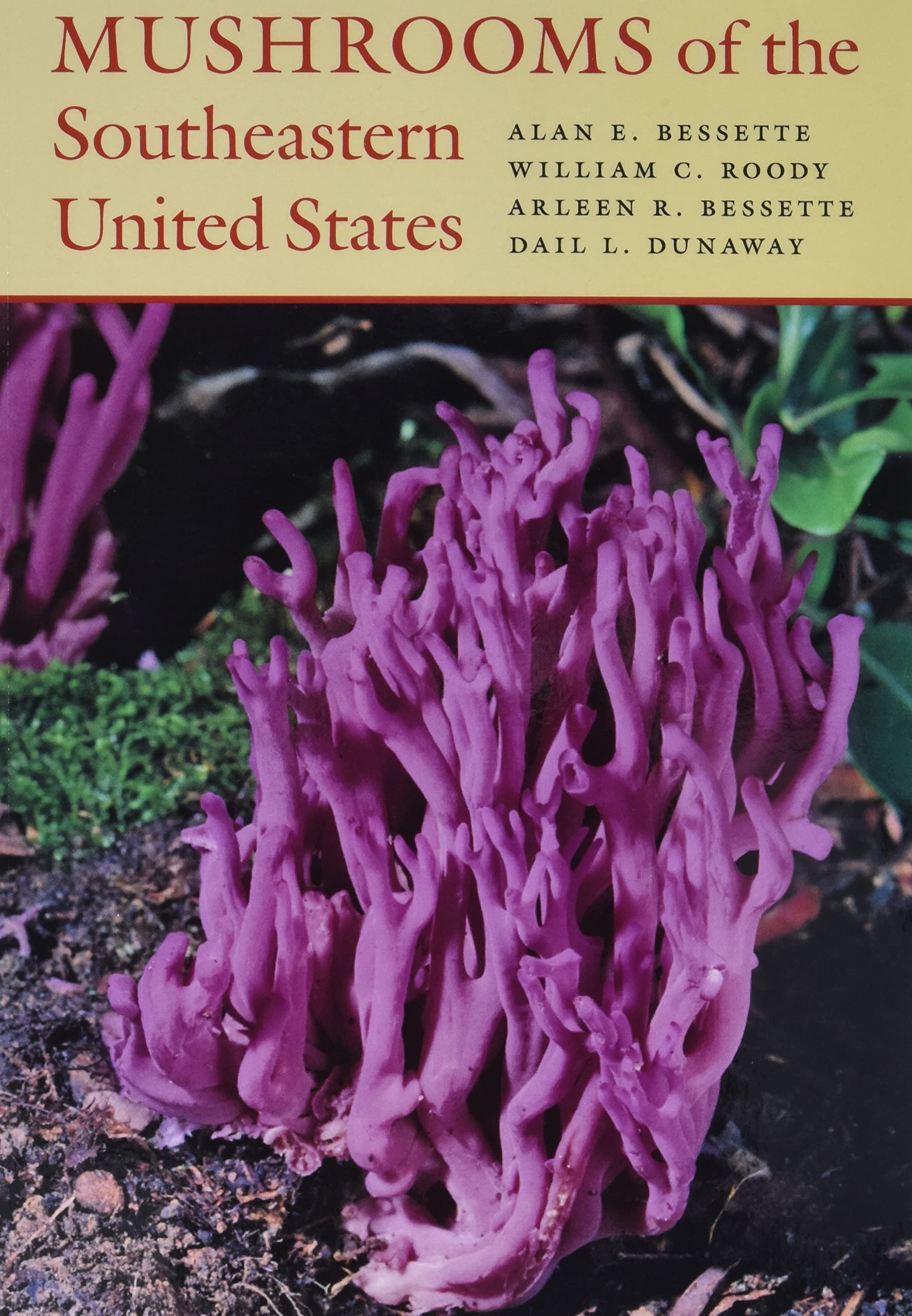 Mushrooms of the Southeastern United States Mushrooms of the Southeastern United States Paperback Kindle Hardcover