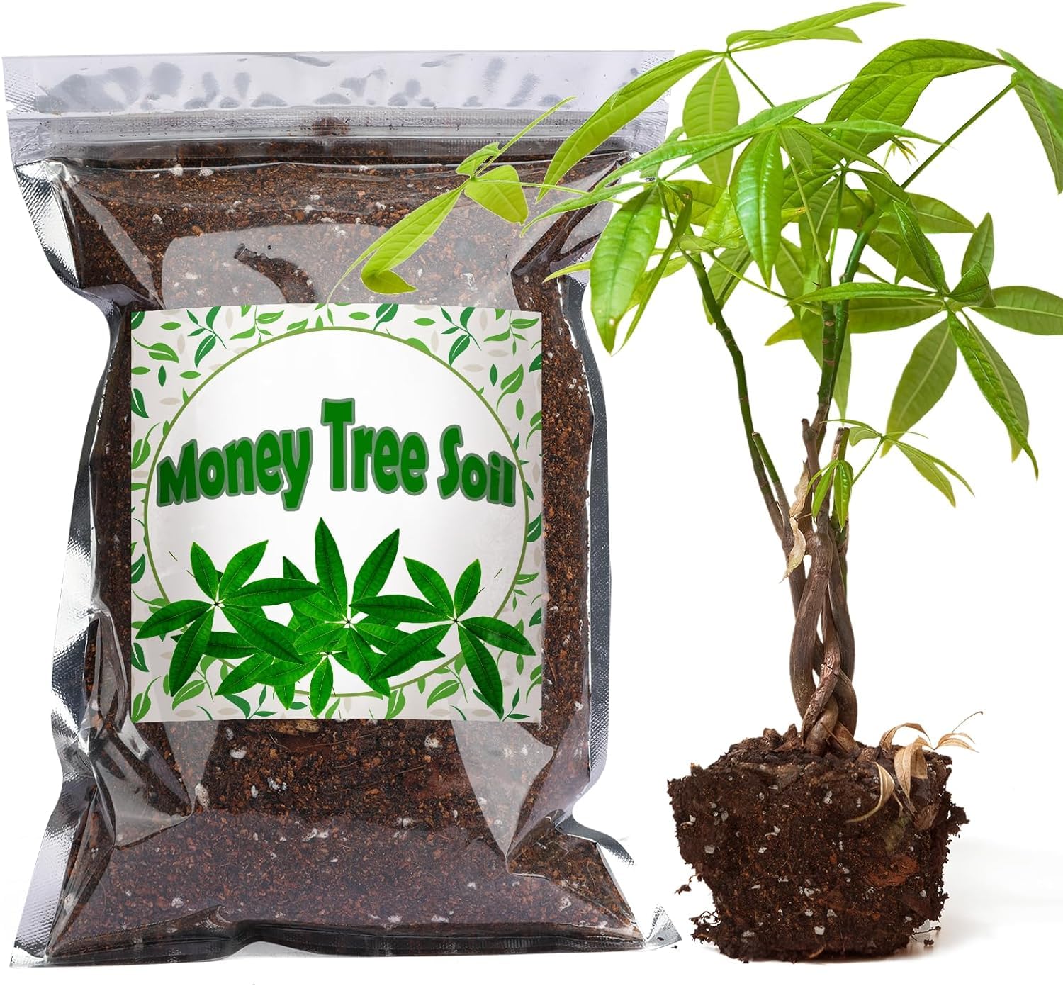 Organic Money Tree Soil Mix 4L, Indoor Plants Potting Mix for All Potted Money Tree, Grow Healthy houseplants Indoors