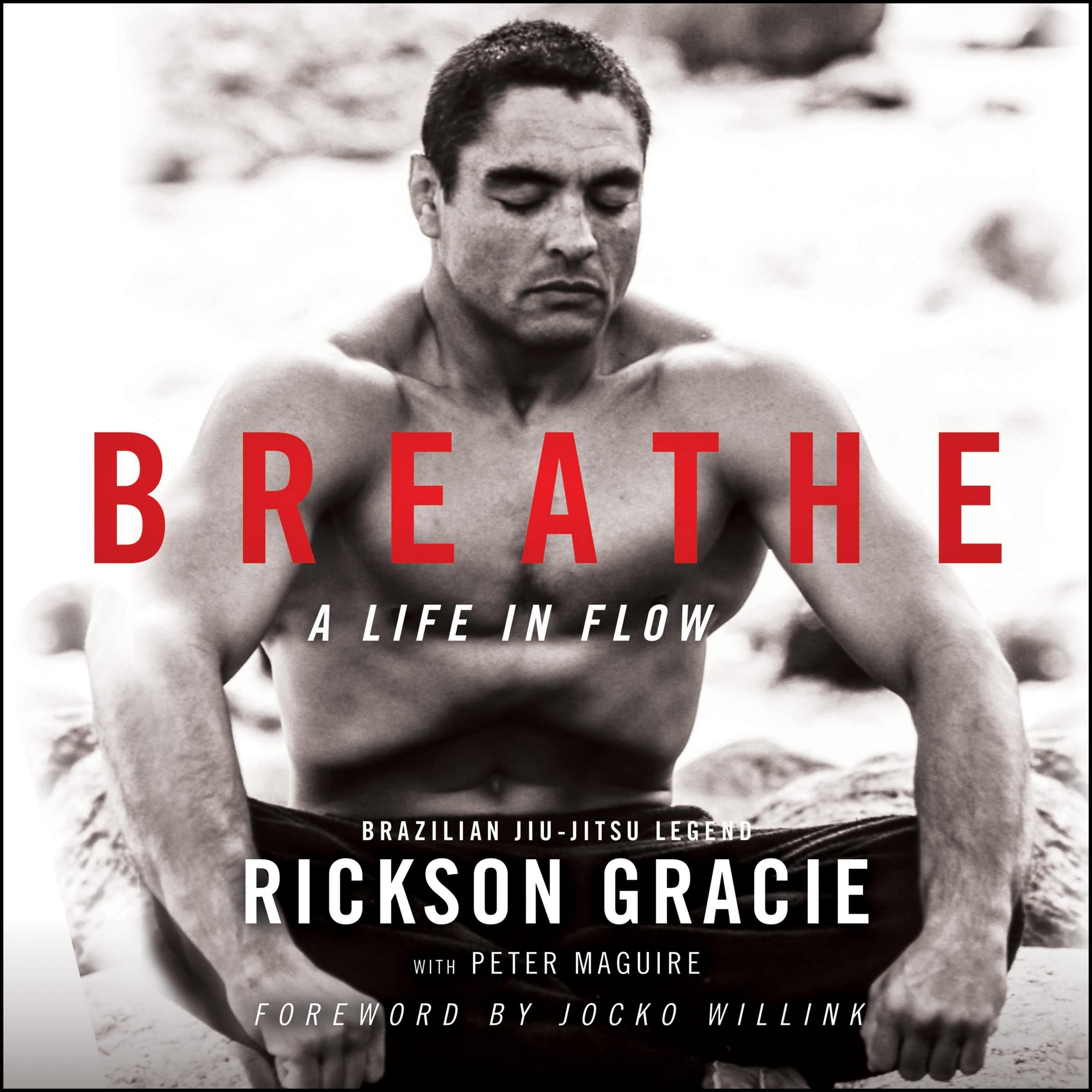 Breathe: A Novel Image