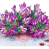 DISJOURNEY Pop Up Birthday Card - 7.9” X 5.8" 3D Pop Up Flower Cards for Mother Day Birthday Thank Yous Get Well or Any Occasion -Mothers Day Card for Mom Grandma Wife and Women