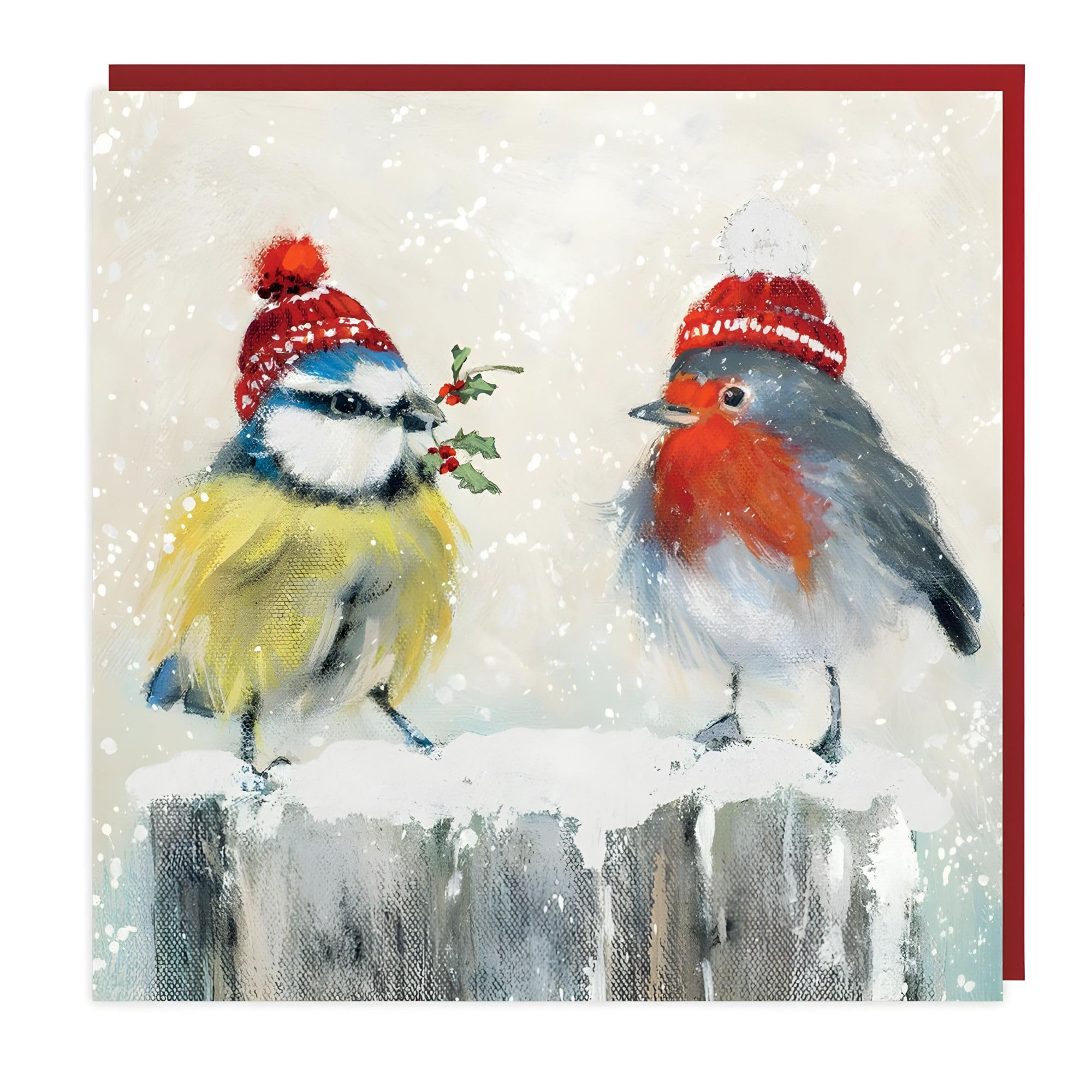 Art Beat Charity Christmas Card Pack of 6 - Robin and Blue Tit Garden Birds Design - Flitter Finish - Christmas Card Multipack - In Aid of UK Charities