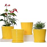 Plant Pots, 6 Inch Flower Pots for Plants,Ceramic Planter with Drainage Holes,Indoor Planter Pots with Saucer,Outdoor Garden 