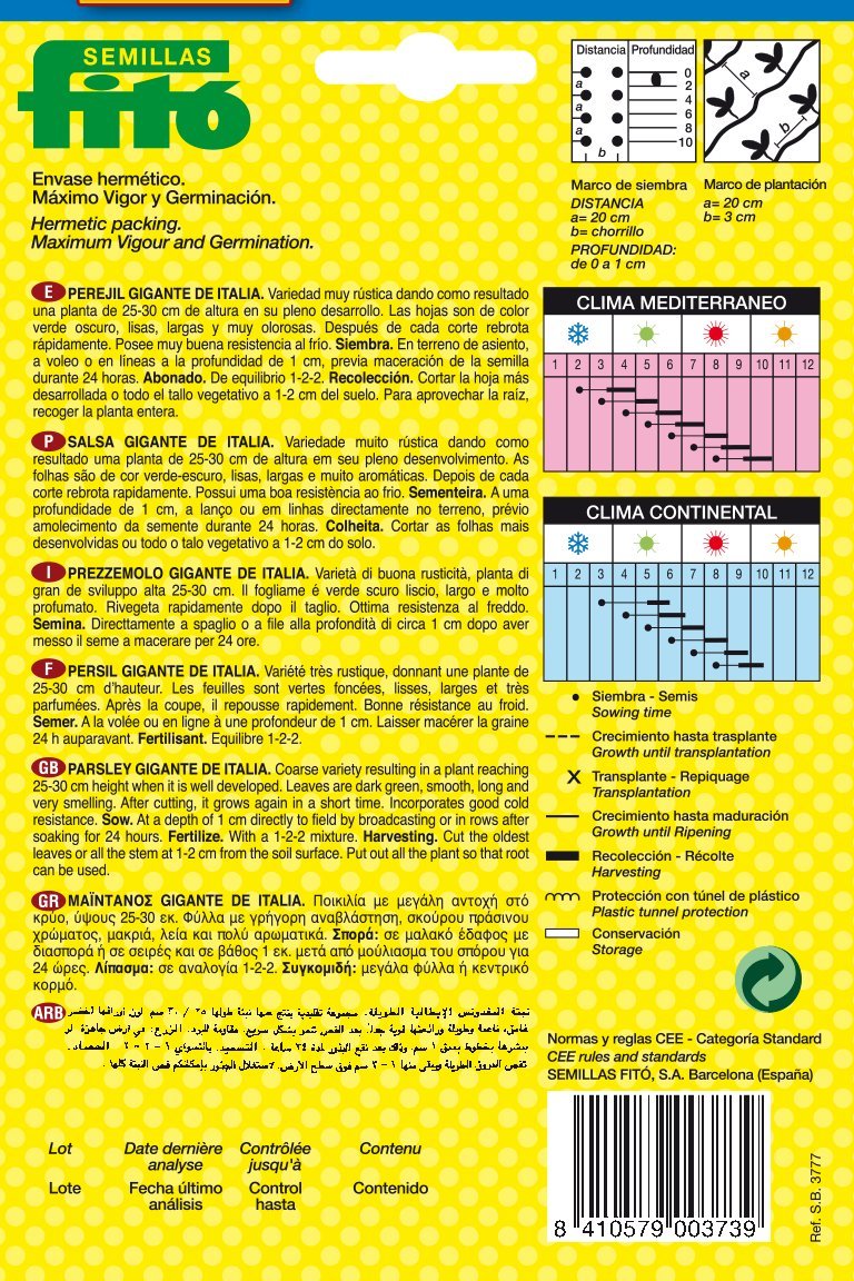Semillas Fitó 3777 - Perejil Gigante Italiano: Amazon.es: Jardín