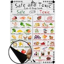 Amazon.com: Safe and Toxic Foods for Dogs and Cats Essential Pet ...