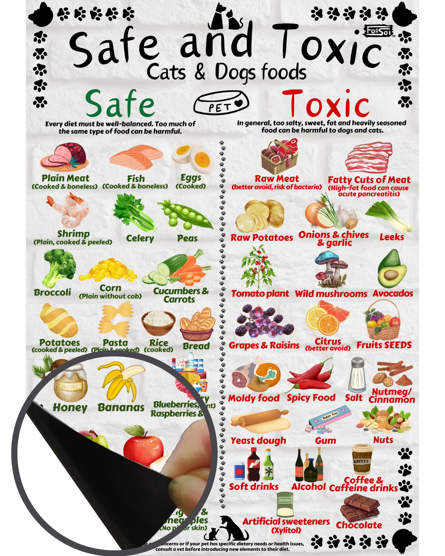 Safe and Toxic Foods for Dogs and Cats Essential Pet Health Guide fridge MAGNET - Size A4 (8.3 x 11.7 inch)