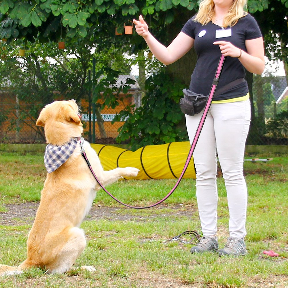 Reflective Dog Leash, Strong & Heavy Duty Pet Leash, Lightweight & Washable Soft Mesh, Handle Lead for Greater Control Safety Training, Walking, Running- Suitable For Small/Medium/Large Dogs