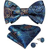 DiBanGu Men Bow Tie Paisley Striped Self-Bow Tie for Men and Silk Woven Bowtie Pocket Square Cufflinks Wedding Party