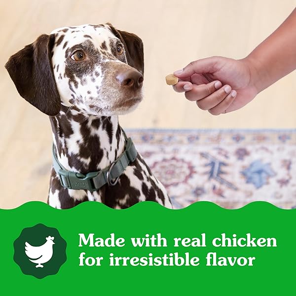 GREENIES SUPPLEMENTS CALMING CHEWS FOR DOGS CHICKEN FLAVOR, 14.7 OZ. CONTAINER OF 80 CT.