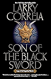 Son of the Black Sword (Saga of the Forgotten Warrior Book 1)