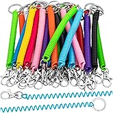 LBSXQGS 14Pcs Spiral Retractable Spring Coil, Colorful for Keychain with Metal Lobster Clasp, Retractable Spring Coil Keychain for Keys Wallet Cellphone 14 Colors
