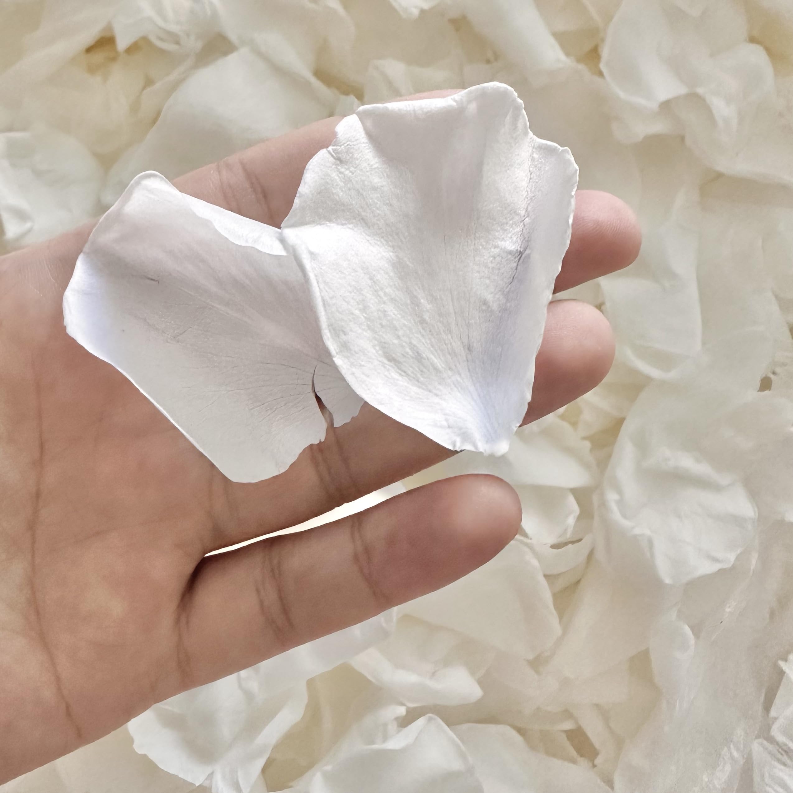 Photo 1 of 180PCS Dried Real Ivory White Rose Flower Petals Confetti for weddings,1.75oz Biodegradable Freeze Dry Petals for Flower Girl, Valentines Day, Romantic Night, Proposal Décor, Handcrafts