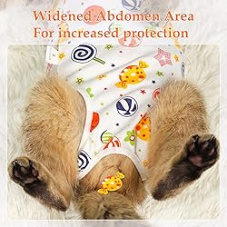 ANWA Cat Recovery Suit - Breathable Cat Surgery