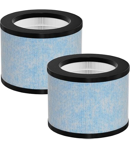 IUSOT Lot De 2 Filtres HEPA H13 Pour Purificateur Conopu DH-JH01 Et DH-JH06 - Remplacement Authentique