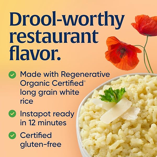 LUNDBERG ORGANIC CREAMY PARMESAN RISOTTO SEASONED RICE – REGENERATIVE ORGANIC CERTIFIED ARBORIO RICE & SEASONING MIX, GLUTEN FREE, 5.5 OUNCE BOX
