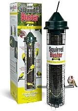 Jacobi Jayne Squirrel Buster Finch Bird Feeder – Pigeon Proof UK