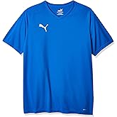 PUMA Men's Liga Core Jersey, Electric Blue Lemonade/White, S