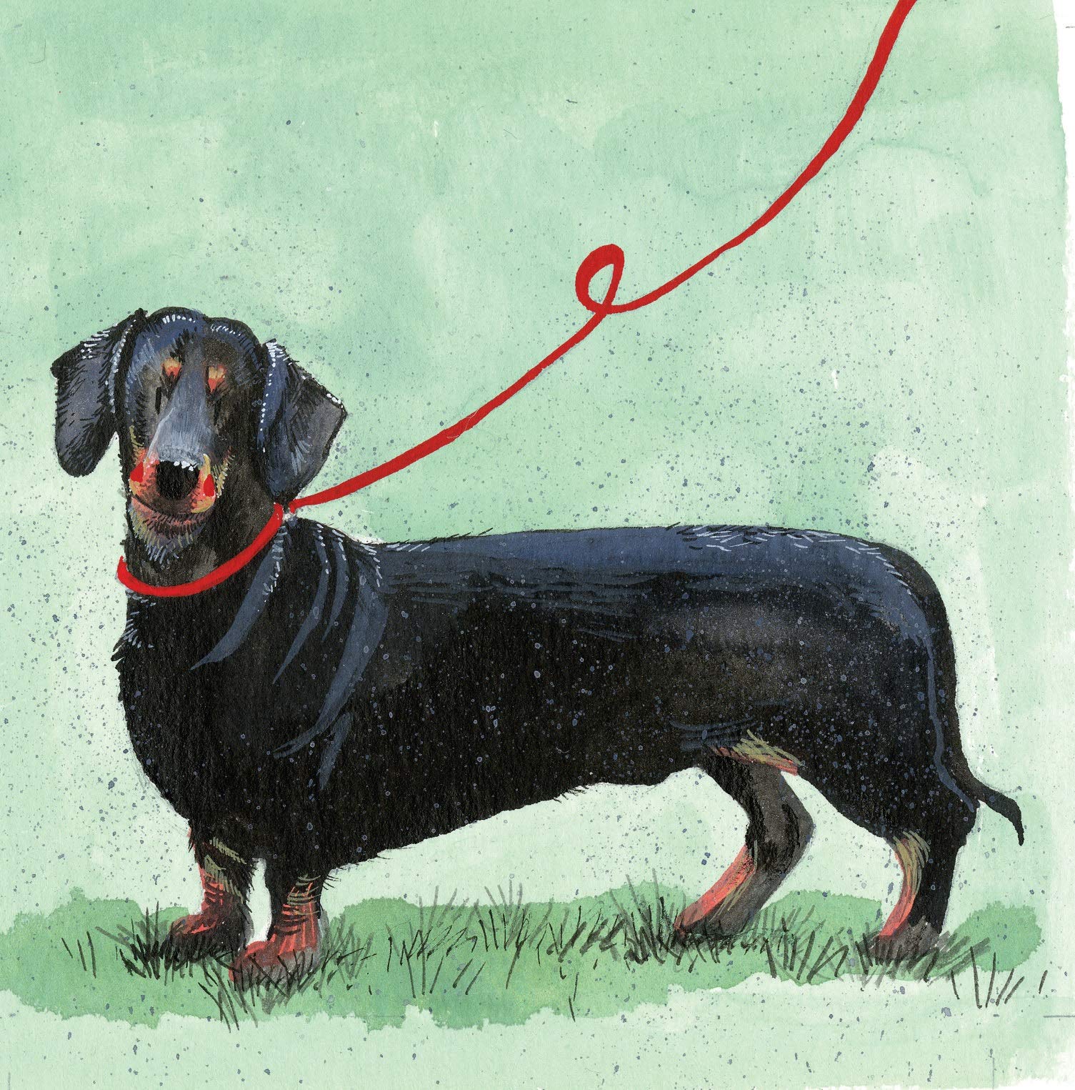 ALEX CLARK Dachshund Dog Greeting Card
