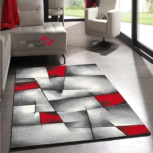 Tapis Moderne Design: Amazon.fr