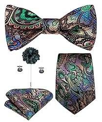 Hi-Tie Men Ties Bowtie Set Silk Necktie Bow Tie