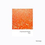 Hemway Fluorescent Peach Glitter Shaker 130g Fine - Resin Epoxy Craft view 2