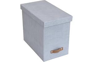 Bigso John File Box - File Storage Box and File Organizer for Important Paperwork - Durable Hanging File Box with Lid and Lea