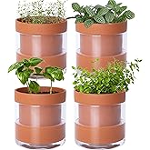 Phoenix Vine 4 Inch Self Watering Planter Pot, Terracotta Clay Pot with Glass Reservoir for Indoor Plants, Herbs, Flowers, Set of 4, 52-A-E-4