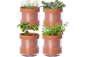 Phoenix Vine 4 Inch Self Watering Planter Pot, Terracotta Clay Pot with Glass Reservoir for Indoor Plants, Herbs, Flowers, Set of 4, 52-A-E-4