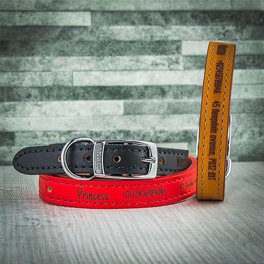 leather puppy collar and lead