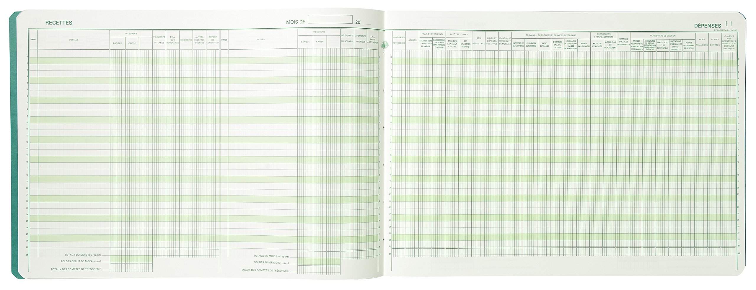 Exacompta - Ref. 9620E - 1 stitch Diary of Income and Expenses of the Liberal Professions - 80 foliated pages - format 270 x 380 mm - 4 random colours, yellow, blue, red, green