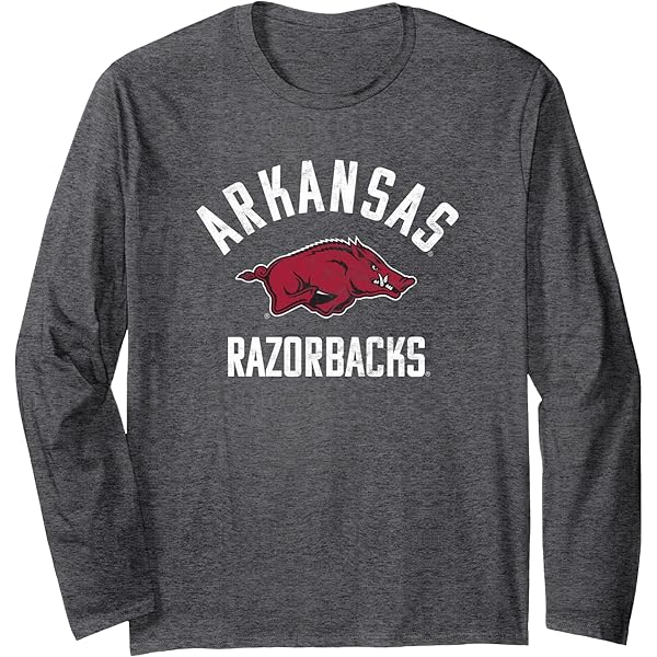 Arkansas Razorbacks Men's Cardinal Football Long Sleeve T-Shirt - Official Team Graphic