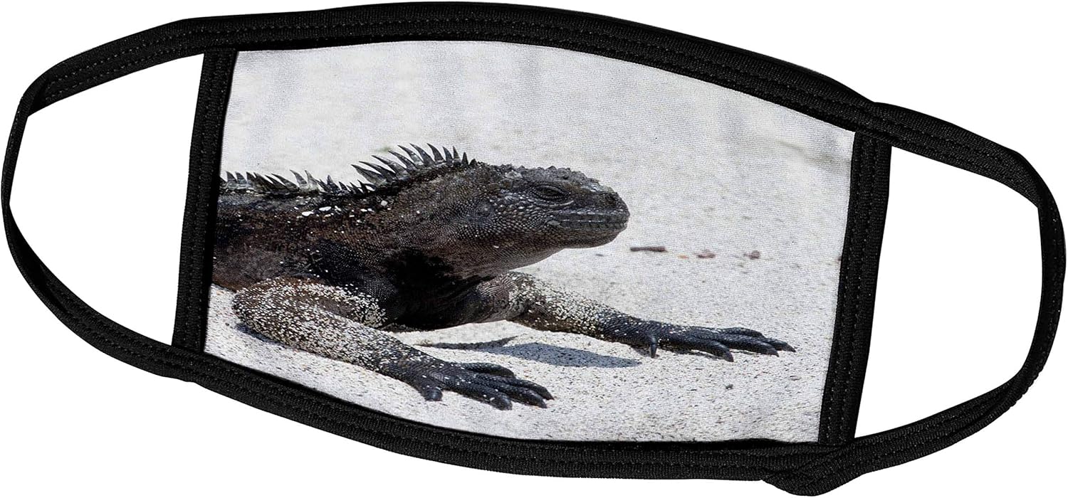 3dRose Danita Delimont - Galapagos Islands - Galapagos Marine Iguana, San Cristobal Island, Galapagos Islands - Face Masks (fm_250459_2)